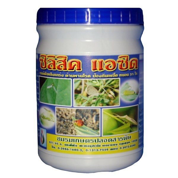ป้องกันโรคข้าวเมล็ดด่างในฤดูหนาว