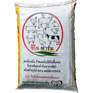 แก้ปัญหากลิ่นฉี่และกลิ่นอึ ของน้องแมวน้องหมา