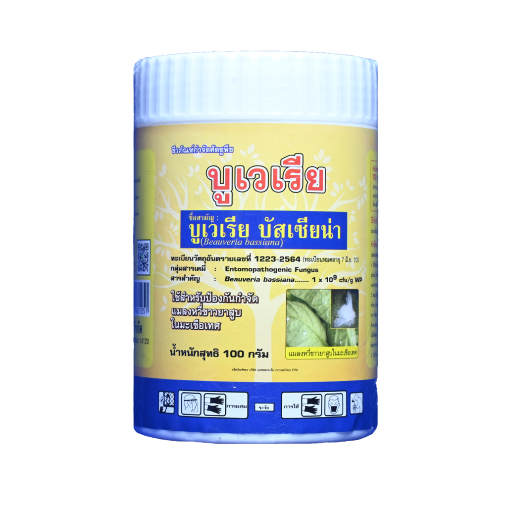 บูเวเรีย (Beauveria)( ขนาดบรรจุ 100 กรัม )