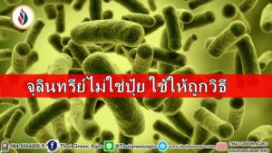 จุลินทรีย์ไม่ใช่ปุ๋ย ใช้ให้ถูกวิธี