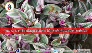 TGA Tools เครื่องมือดูแลไม้ด่างไม้ประดับที่คุณต้องประทับใจ