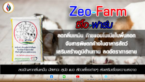 แก้ปัญหากลิ่นฉี่และกลิ่นอึ ของน้องแมวน้องหมาและสัตว์เลี้ยงภายในบ้าน