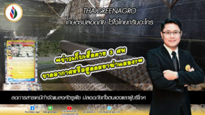 ข่าวเก็บเห็ดตาย3ศพ ขาดอากาศหรือสูดดมยาฆ่าแมลง