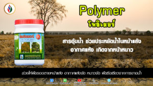 ตัวช่วยต้านอากาศหนาว ลดการคายน้ำให้พืช