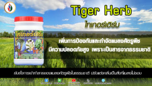การใช้สมุนไพรป้องกันแมลงศัตรูพืช