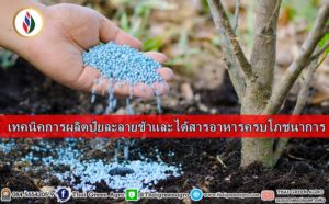 เทคนิคการผลิตปุ๋ยละลายช้าและได้สารอาหารครบโภชนาการ