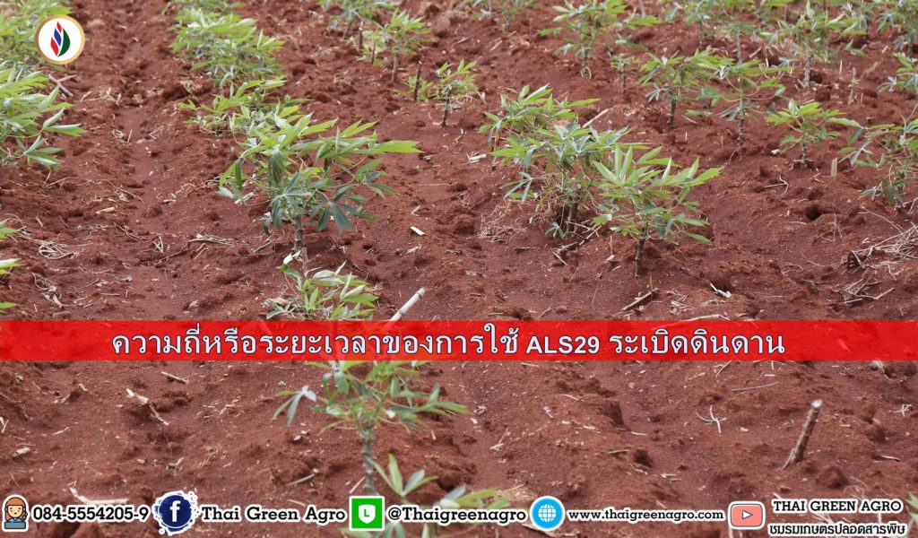 ความถี่หรือระยะเวลาของการใช้ ALS29 ระเบิดดินดาน