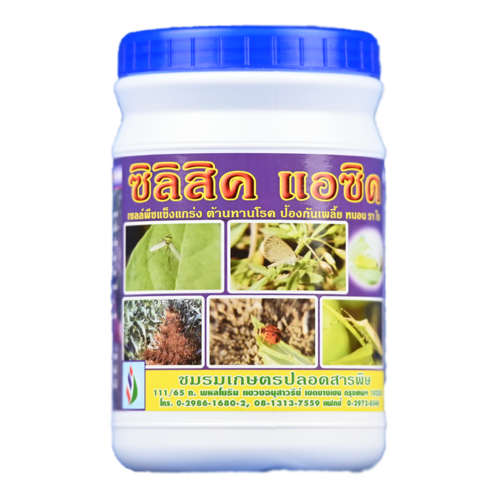 ซิลิก้าทางใบและทางดินที่ใช้ได้ผลในนาข้าว