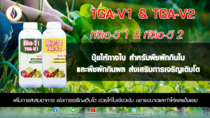 การใส่ปุ๋ยทางใบ แตกต่างกันอย่างไรกับการใส่ปุ๋ยทางดิน