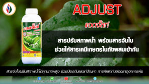 การเพิ่มประสิทธิภาพการฉีดยา-ฮอร์โมนให้กับพืช