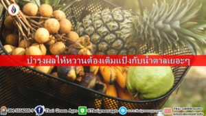 Basket on the bicycle full of different exotic fruits such as Pineapple, mangosteen, guava, longan and bananas.