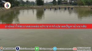 บำบัดน้ำให้สะอาดสอดคล้องประชากรกุ้งปลาลดปัญหาน้ำเน่าเสีย
