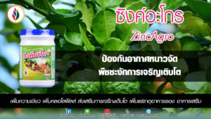 หนาวแค่ไหนไม่ต้องกลัว ซิงค์มีคลายหนาวให้พืชได้