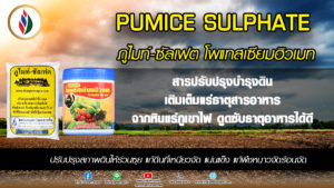ทุเรียน เยี่ยมร้อยสวน ได้ร้อยสูตรเคล็ดลับอยู่ที่ดิน