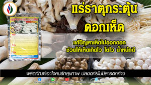 นางฟ้าไม่บาน ภูฐานดอกหงิก แล้วจะแก้อย่างไรดี