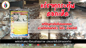 อุณหภูมิ-ความชื้นในโรงเรือน…ต่างก็สำคัญต่อการเจริญเติบโตของเห็ด
