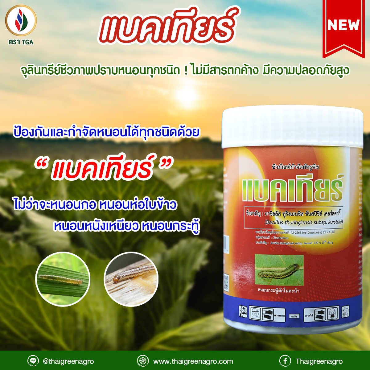 10.แบคเทียร์