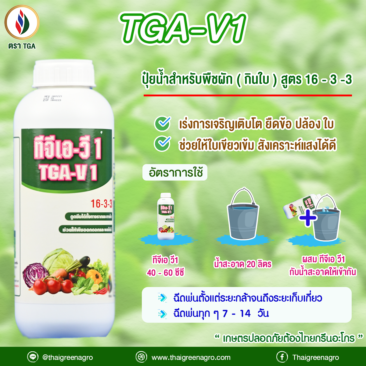 11.อัตราการใช้ ทีจีเอ วี 1