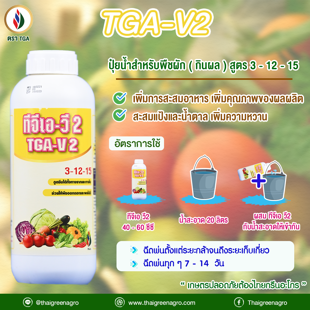 12.อัตราการใช้ ทีจีเอ วี 2
