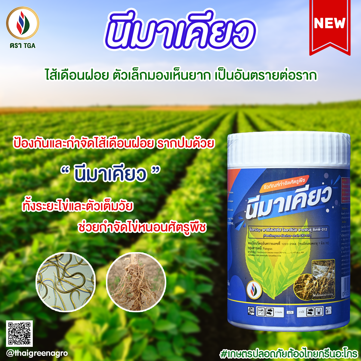3.นีมาเคียว