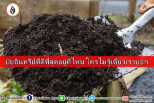 ปุ๋ยอินทรีย์ที่ดีที่สุดอยู่ที่ไหน ใครไม่รู้เดี๋ยวเราบอก