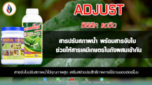 ปรับสภาพน้ำก่อนฉีดยา ฮอร์โมน เพื่อเพิ่มประสิทธิภาพให้กับยาพืช