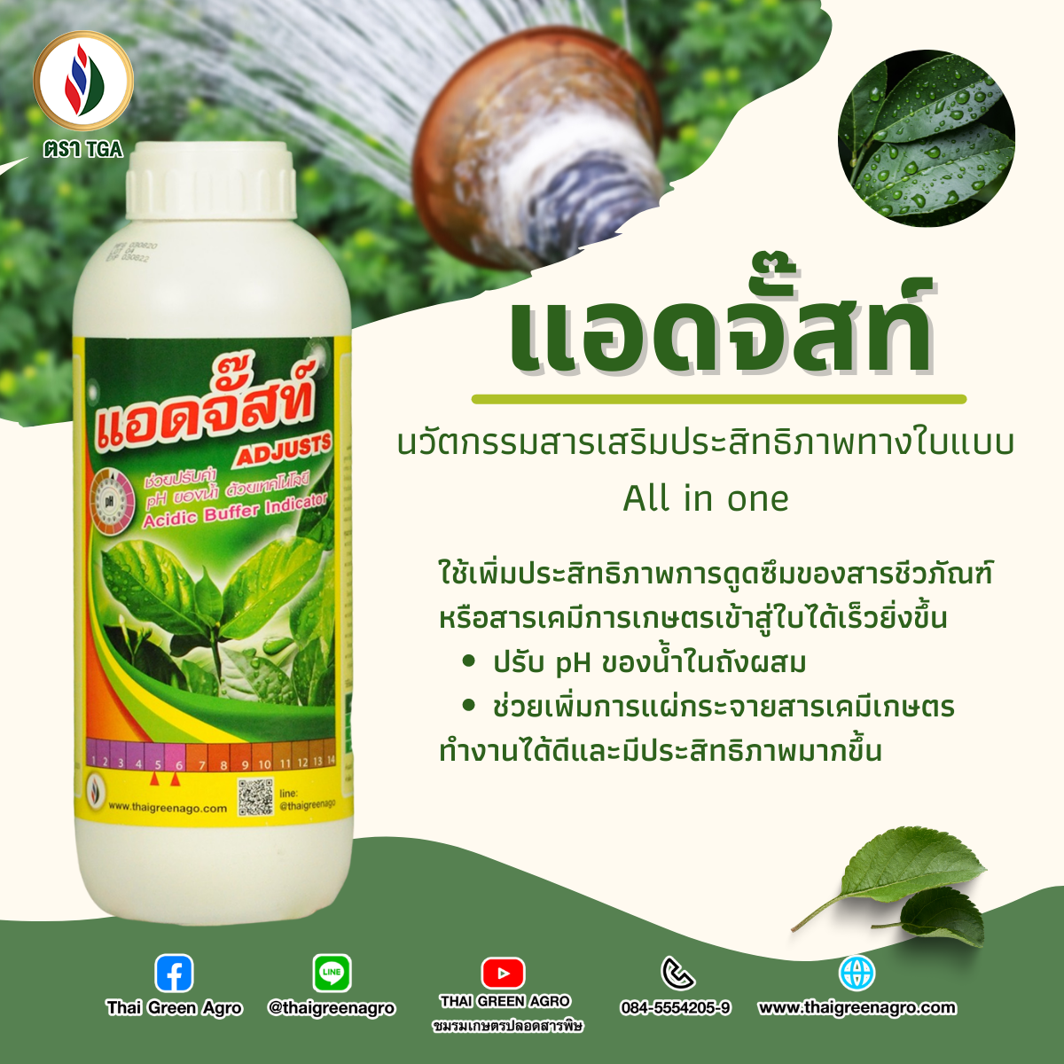 แอดจั๊ส