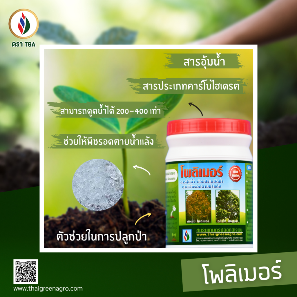 แล้งและร้อน ปัญหาพืชเครียด สูญเสียน้ำมาก ดอกผลหลุดล่วง