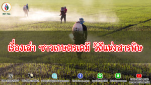 เรื่องเล่า ชาวเกษตรเคมี วิถีแห่งสารพิษ