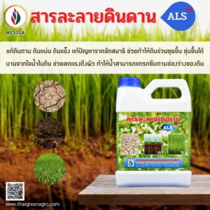 แก้ดินดาน ดินแน่นแข็ง แบบปลอดสารพิษ
