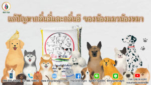 แก้ปัญหากลิ่นฉี่และกลิ่นอึ ของน้องแมวน้องหมา