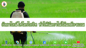 อัลคาไลน์ไฮโดรไลซิท ทำให้ฉีดยาไม่ได้ผลต้องแถม