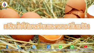 เปลือกไข่ให้แคลเซียมและกรดอะมิโนแก่ดิน