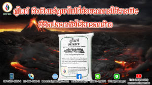 ภูไมท์ คือหินแร่ภูเขาไฟที่ช่วยลดการใช้สารพิษ ชีวิตปลอดภัยไร้สารตกค้าง