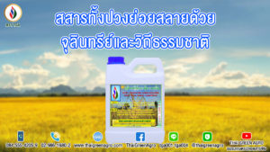 สสารทั้งปวงย่อยสลายด้วยจุลินทรีย์และวิถีธรรมชาติ