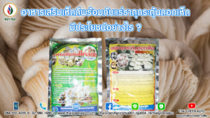 อาหารเสริมเห็ดดีพร้อม กับ แร่ธาตุกระตุ้นดอกเห็ด มีประโยชน์อย่างไร