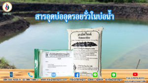 สารอุดบ่ออุดรอยรั่วในบ่อน้ำ