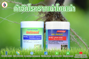 กำจัดโรครากเน่าโคนเน่า