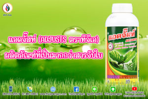 แอดจั๊สท์ (ADJUSTS ตราทีจีเอ)ผลิตภัณฑ์ที่เป็นมากกว่าสารจับใบ