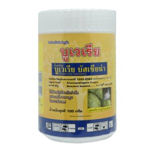 การใช้บูเวเรียในการกำจัดแมลง
