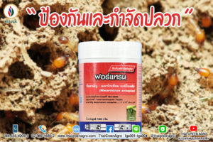 ป้องกันและกำจัดปลวก