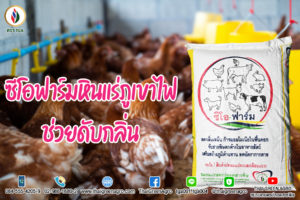 ซีโอฟาร์มหินแร่ภูเขาไฟช่วยดับกลิ่น