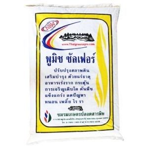 วิธีการปลูกมะเขือ