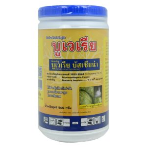การปลูกหน่อไม้ฝรั่งปลอดสารพิษ(ตอนที่ 2 การดูแลรักษาและเฝ้าระวังโรค)