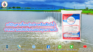 แก้ปัญหาเลี้ยงกุ้งปลาหรือสัตว์น้ำจากความแปรปรวนของคุณภาพน้ำ