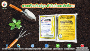 การเตรียมดินปลูก-ถ้าดินดีผลผลิตก็งาม