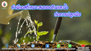 ค่าพีเอสที่เหมาะสมของดินและน้ำต่อการปลูกพืช
