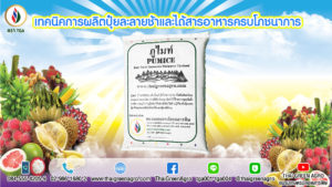 เทคนิคการผลิตปุ๋ยละลายช้าและได้สารอาหารครบโภชนาการ