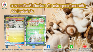 อาหารเสริมเห็ดดีพร้อม กับ แร่ธาตุกระตุ้นดอกเห็ด มีประโยชน์อย่างไร